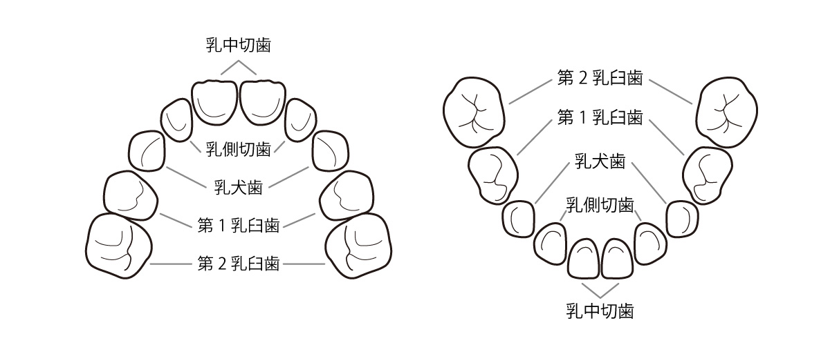 医療法人有光会 ありた小児歯科・矯正歯科